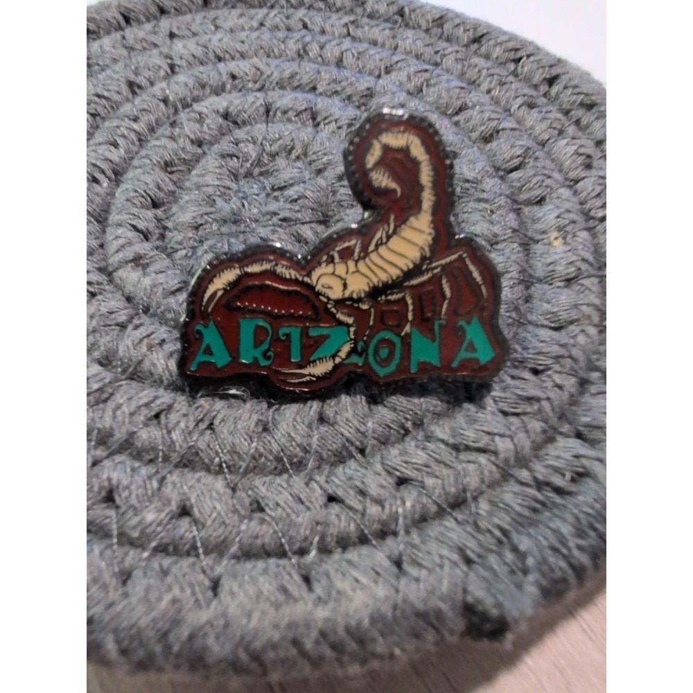 BEAUTIFUL VINTAGE RARE ARIZONA SCORPION PIN‎ BADGE